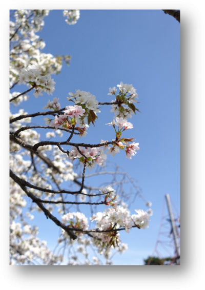 image015.png